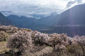 CHINA-TIBET-MOUNT NAMJAGBARWA (CN)