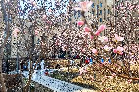 CHINA-JILIN-CHANGCHUN-COVID-19 (CN)