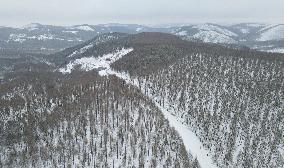 CHINA-HEBEI-SAIHANBA-SCENERY (CN)