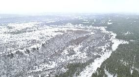 CHINA-HEBEI-SAIHANBA-SCENERY (CN)