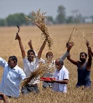KASHMIR-JAMMU-BAISAKHI FESTIVAL