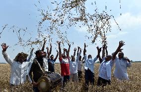KASHMIR-JAMMU-BAISAKHI FESTIVAL