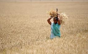 KASHMIR-JAMMU-BAISAKHI FESTIVAL