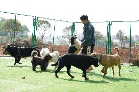 CHINA-HUNAN-CHANGSHA-PET-CARE SERVICE (CN)