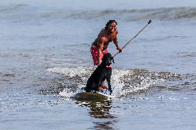 PHILIPINES-AURORA-SURFING-DOG