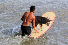 PHILIPINES-AURORA-SURFING-DOG