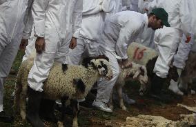 MIDEAST-NABLUS-MOUNT GERIZIM-SAMARITAN-PASSOVER