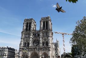 FRANCE-PARIS-NOTRE DAME CATHEDRAL-RENOVATION
