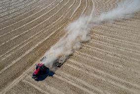 Xinhua Headlines: Unfazed by U.S. sanctions and smear campaign, Xinjiang farmers more enthusiastic about cotton farming