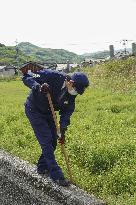 2-meter-long pet python on loose in western Japan