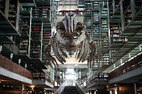 MEXICO-MEXICO CITY-VASCONCELOS LIBRARY