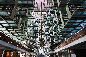MEXICO-MEXICO CITY-VASCONCELOS LIBRARY
