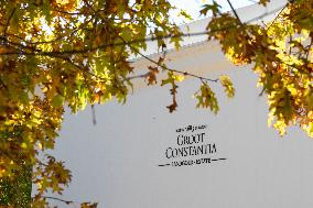 SOUTH AFRICA-CAPE TOWN-WINE FARM