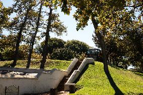 SOUTH AFRICA-CAPE TOWN-WINE FARM