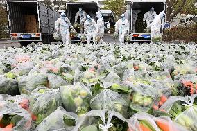 CHINA-QINGHAI-XINING-COVID-19-VEGETABLE PACK (CN)