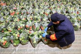 CHINA-QINGHAI-XINING-COVID-19-VEGETABLE PACK (CN)