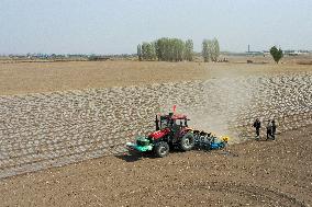 CHINA-XINJIANG-COTTON FARMING (CN)