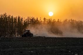 CHINA-XINJIANG-COTTON FARMING (CN)