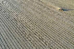 CHINA-XINJIANG-COTTON FARMING (CN)