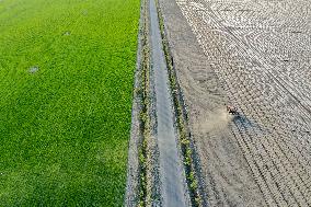 CHINA-XINJIANG-COTTON FARMING (CN)