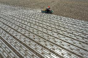 CHINA-XINJIANG-COTTON FARMING (CN)