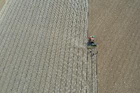 CHINA-XINJIANG-COTTON FARMING (CN)