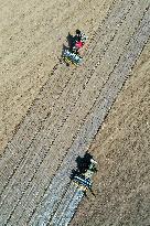 CHINA-XINJIANG-COTTON FARMING (CN)