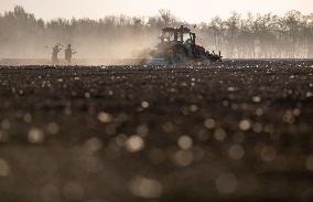 CHINA-XINJIANG-COTTON FARMING (CN)