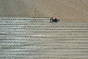 CHINA-XINJIANG-COTTON FARMING (CN)