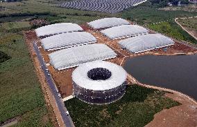 CHINA-ANHUI-HEFEI-FEIDONG-SMART GREENHOUSE (CN)