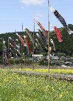 Carp streamers in western Japan