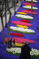 TURKEY-ISTANBUL-WORLD EARTH DAY