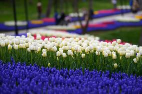 TURKEY-ISTANBUL-WORLD EARTH DAY