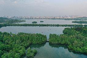 (SkyEye)CHINA-ZHEJIANG-WEST LAKE (CN)