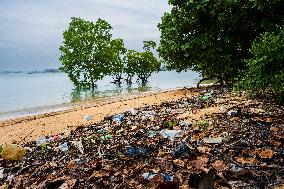 MALAYSIA-JOHOR-MANGROVE