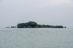 MALAYSIA-JOHOR-MANGROVE