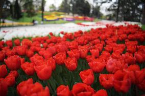 TURKEY-ISTANBUL-PARK