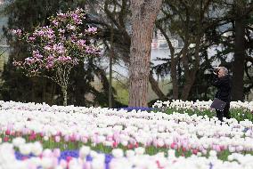 TURKEY-ISTANBUL-PARK