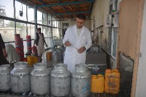 AFGHANISTAN-JALALABAD-DAIRY PLANT