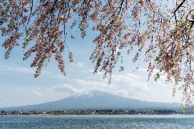 JAPAN-YAMANASHI-SCENERY