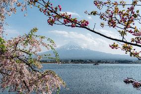 JAPAN-YAMANASHI-SCENERY