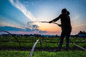 #CHINA-AGRICULTURE-SPRING-FARMING (CN)