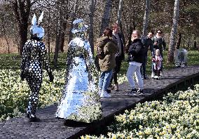 LITHUANIA-DRUSKININKAI-DAFFODILS-FESTIVAL