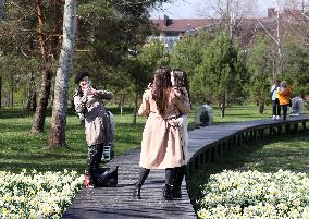 LITHUANIA-DRUSKININKAI-DAFFODILS-FESTIVAL