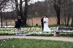 LITHUANIA-DRUSKININKAI-DAFFODILS-FESTIVAL