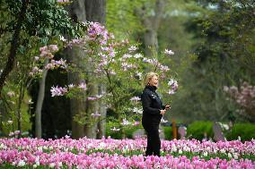 TURKEY-ISTANBUL-TULIP FESTIVAL