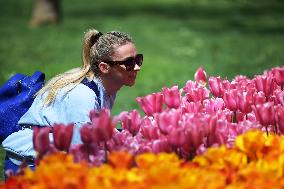 TURKEY-ISTANBUL-TULIP FESTIVAL