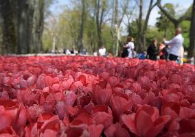 TURKEY-ISTANBUL-TULIP FESTIVAL