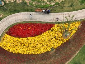 CHINA-HEBEI-XIONG'AN NEW AREA-YUERONG PARK-AERIAL VIEW (CN)