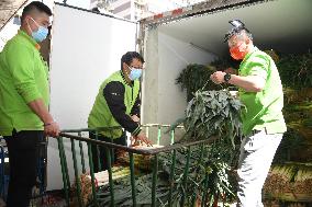 CHINA-BEIJING-COVID-19-DAILY NECESSITIES-SUPPLY (CN)